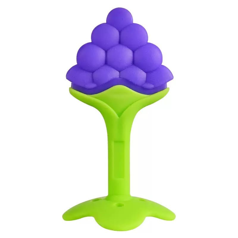 Baby Silicone Fruit Teether – Safe Newborn Teething Toy with Box | Baby Bliss BD